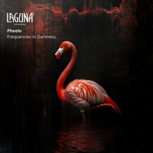 Pheelo - Frequencies in Darkness [LGNR127]