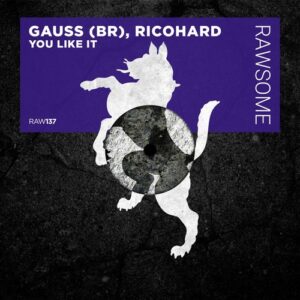 Ricohard, Gauss (BR) - You Like It [RAW137]
