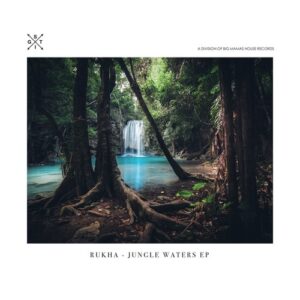 RuKha - Jungle Waters EP [STIG410]