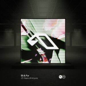 VA - 25 Years Of Anjuna Mixed By Eli & Fur