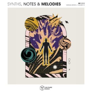 VA - Synths, Notes & Melodies Vol. 12 [VOLTCOMP1641]