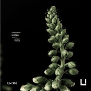 Dani Sbert - Unison [UNI308]