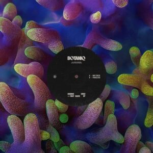Dennis Cruz - Way Back EP [BNQ001]