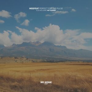 Missfeat - Perfect for the Pulse [3AV501]