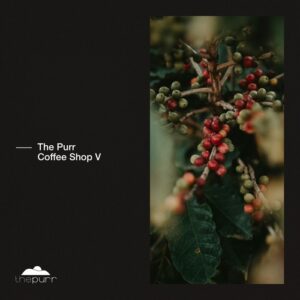 VA - The Purr Coffee Shop V [PURR480]