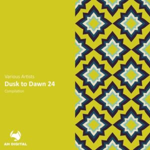 VA - Dusk to Dawn 24 [AHD494]