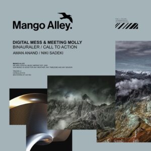 Digital Mess & Meeting Molly - Binauraler / Call to Action [ALLEY316]