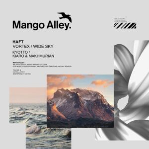 HAFT - Vortex / Wide Sky [ALLEY318]
