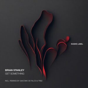 Brian Stanley - Get Something [DUSHEL235]
