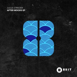 Julius Strieder - After Moods EP [8BIT231]