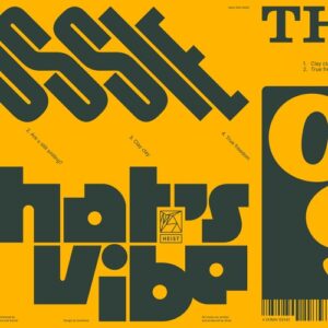 Ossie - That's a Vibe [HEIST094D]