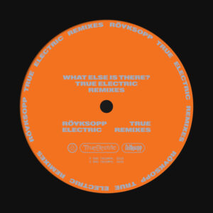 Röyksopp - What Else Is There_ (True Electric Remixes) [DOG251P]