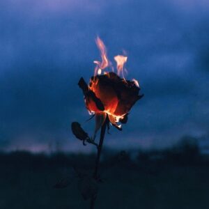 8Kays & GHEIST - Flowers & Guns [4066004802039]