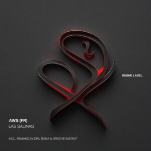 AWS (Fr) - Las salinas [DUSHEL236]