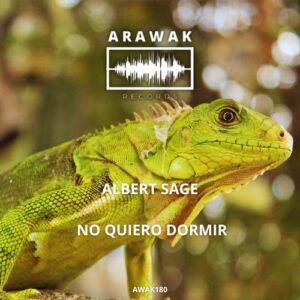 Albert Sage - No Quiero Dormir [AWAK180]