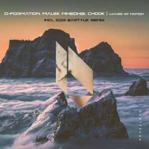 D-Formation, Malek Mhedhbi & Chook TN - Waves of Motion [BF412]