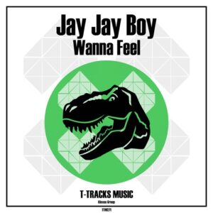 Jay Jay Boy - Wanna Feel [TTM271]