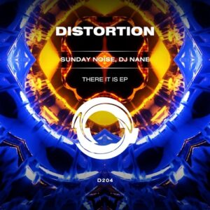 Sunday Noise, DJ Nane - There It Is [D204]