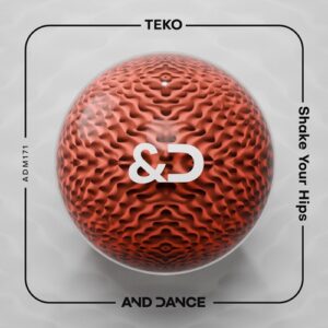 TEKO - Shake Your Hips [ADM171]