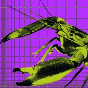 The Mekanism, Jorge Bezerra - Do The Disco Feat. Jorge Bezerra [EXPDIGITAL265B]