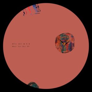 V.X, Aftr All - What U Got EP [PSL0560]