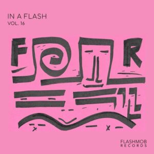 VA - In a Flash, Vol. 16 [FMR289D]