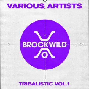 VA - Tribalistic Vol.1 [BW025]