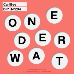 Carl Bee - OneDerWat EP [DIYNAMIC264]