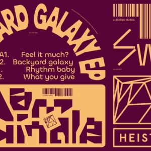 Dam Swindle - Backyard Galaxy EP [HEIST096D]