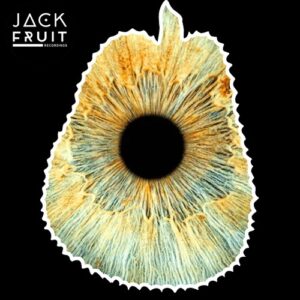 Dompe - Groove Lab [JACKFRUIT087]