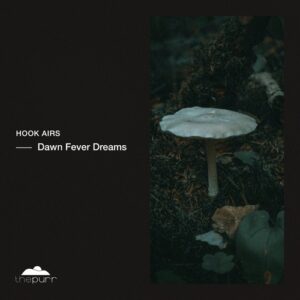 Hook Airs - Dawn Fever Dreams [PURR503]