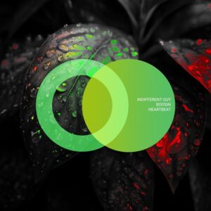Indifferent Guy & Boosin - Heartbeat [AVE285]