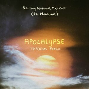 Pete Tong, Max Zotti, MoBlack & Monolink - Apocalypse [4066004897202]