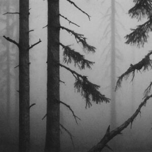 Re:Elected Autumn Rising Chart