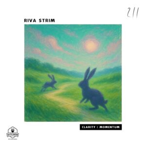 Riva Strim - Clarity | Momentum [KTN211]