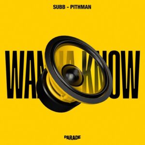 SUBB, Pithman - Wanna Know (Extended) [089658888642]