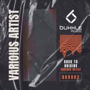 VA - Back to Origins [BKK003]