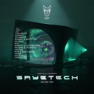 VA - Sayetech, Vol. 2 [ALPAK159]