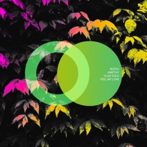 Vlad Gold, ROZYO, Amethy - Feel My Love [AVE286]