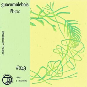 guacamolebois - Phew [RDT049]
