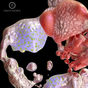 Alerch, Fec - My Phantasy - Arythmm Remix [ANAT035]