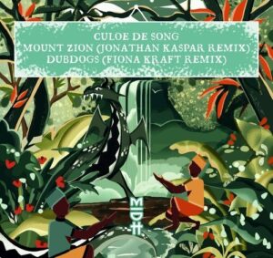 Culoe De Song - The Konspiracy Theory Remixes, Pt. 2 [MIDH102]