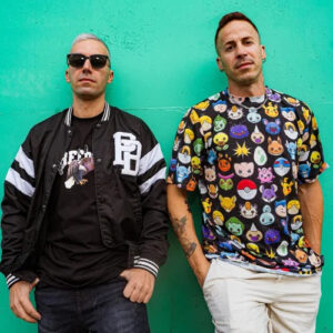 Dok & Martin Hidden Voice Chart