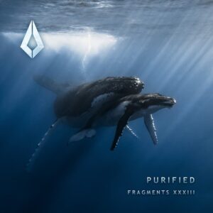 Garlington, ARIV3, Skyknock & Cornelius SA - Purified Fragments XXXIII [PF0224BP]