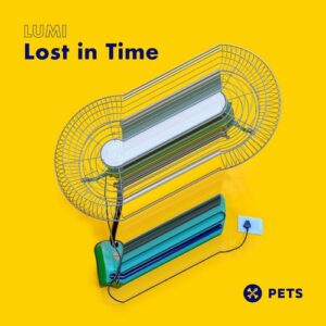 LUMI (FIN) - Lost In Time [PETS223]