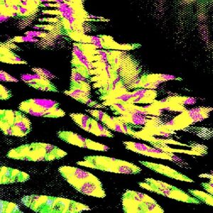 Matheiu - EYEAM003 [EYEAM003]