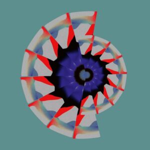 Mehmet Aslan - Early Beginnings [PERMVAC370-1]