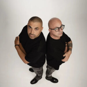 Neverdogs Dimension Chart