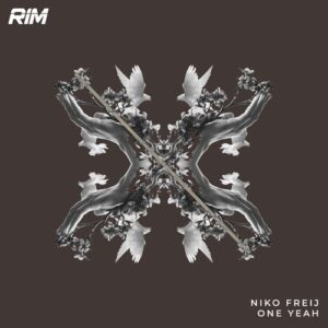 Niko Freij - One Yeah [RIM300]