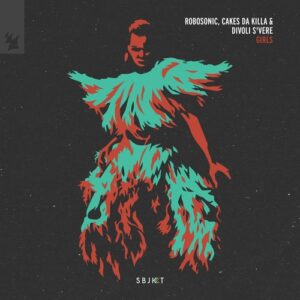 Robosonic, Cakes da Killa, & Divoli S'vere - Girls (Club Dub) [ARSBJKT236]
